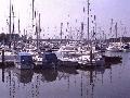 marinat.jpg (4131 bytes)